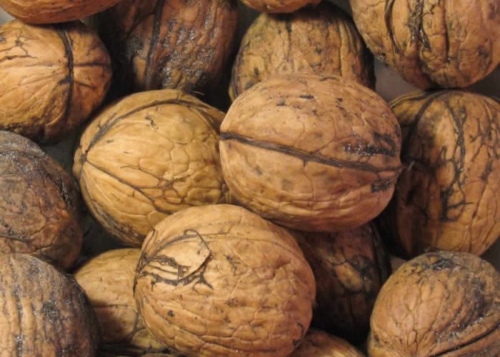 Beneficios de las nueces para reducir colesterol