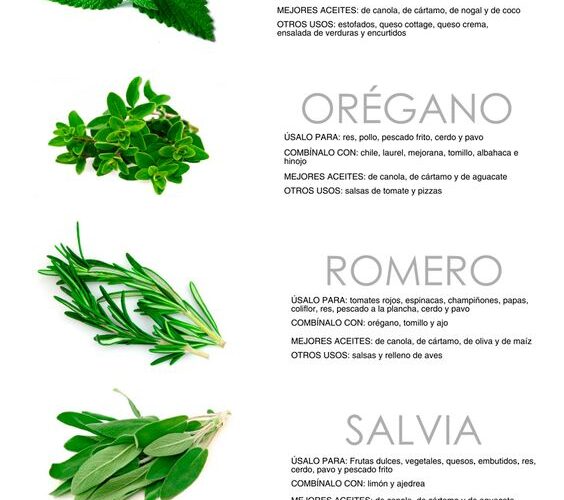 Hierbas para cocinar